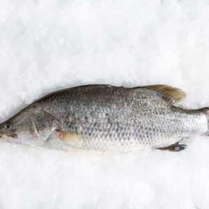 Barramundi Medium Whole Fish Delivery