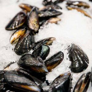 Black Mussels Shellfish Delivery