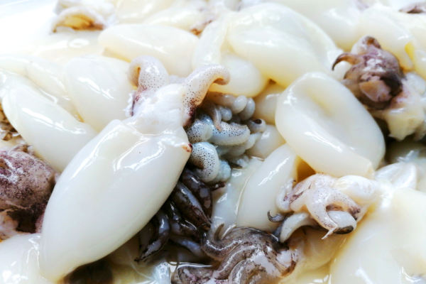 Buy Cleaned Cuttlefish Online | Manettas Seafood Market
