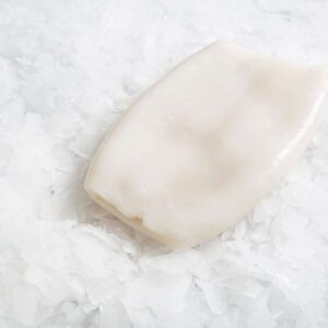 Buy Cleaned Squid Tubes Online | Manettas Seafood Market