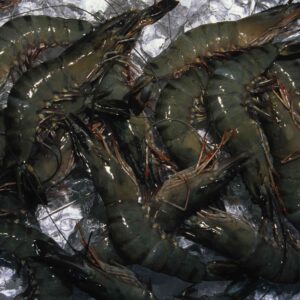 Buy Raw Black Tiger Prawns Online