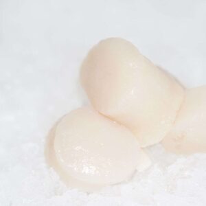 Buy Scallop Meat Online