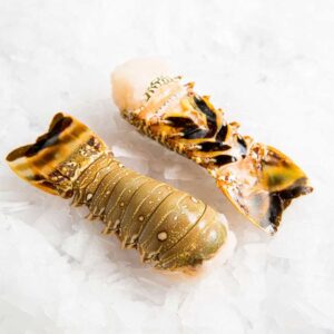 Buy Tropical Lobster Tail Online