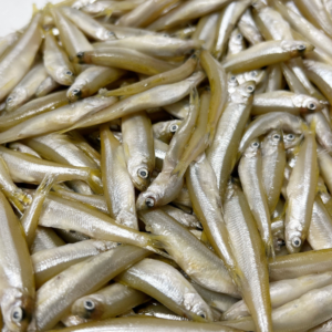 Buy Western Australia Whitebait Online