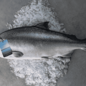 King Salmon | Whole Fish Delivery Europe