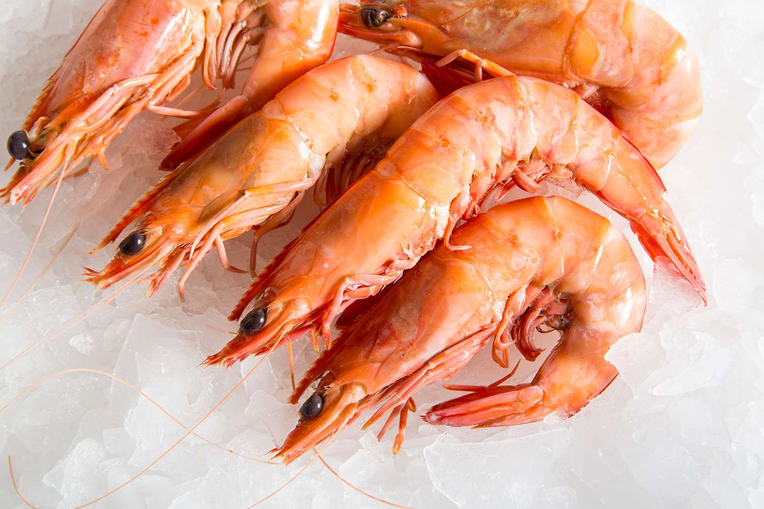 Ocean King Prawns Cooked | Manettas Seafood Market