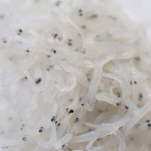 Silver Fish | Whole Fish Delivery Europe