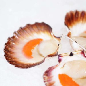 Tasmanian Scallops | Scallop Delivery Europe