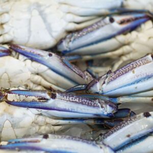 Wholesale Blue Swimmer Crab Raw